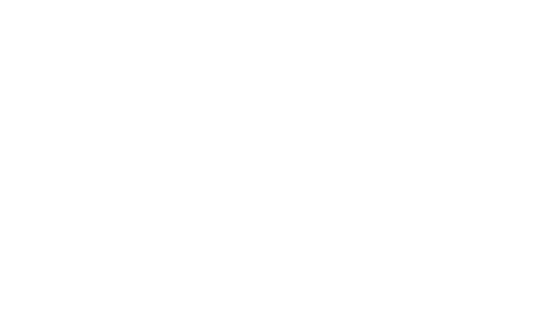 logosworked_baerlocher_wht