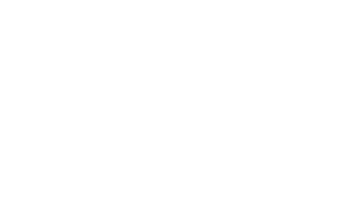 logosworked_proauto_wht